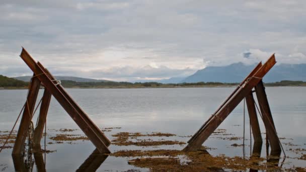 宁静而质朴的湖景 以群山和部分淹没的木结构为特色 — 图库视频影像