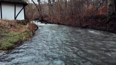 Bir dron, her iki taraftaki ağaçlar ve çalılar tarafından çerçevelenmiş ağaçlık bir alanda süzülerek nehrin üzerinde süzülür.