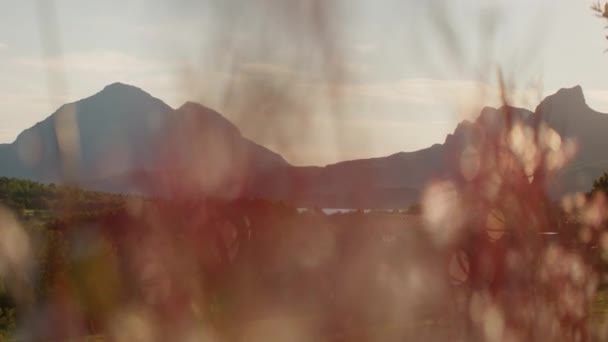 Een Opname Begane Grond Van Een Berglandschap Onder Zonsondergang Met — Stockvideo