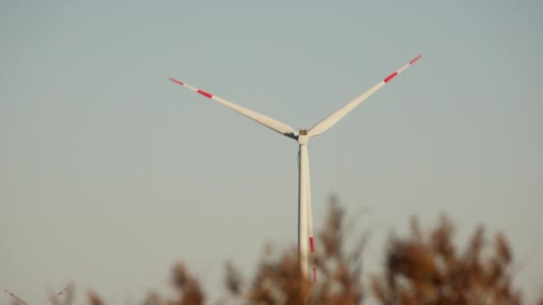 Turbina Wiatrowa Wdziękiem Wirująca Oszałamiającym Tle Przejrzystego Jasnego Błękitnego Nieba — Wideo stockowe