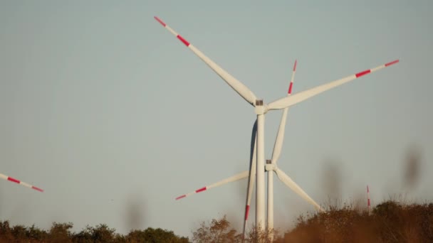 Les Éoliennes Tournent Gracieusement Milieu Ciel Bleu Arbres Verts Vibrants — Video