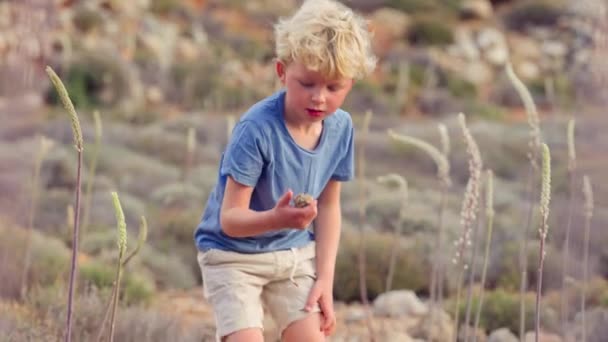 Ein Kleiner Junge Blauer Kleidung Hebt Zart Auf Und Hält — Stockvideo