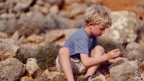 Fiatal Fiú Felfedezni Természetet Megérintve Egy Követ Egy Nagyobb Sziklának — Stock videók