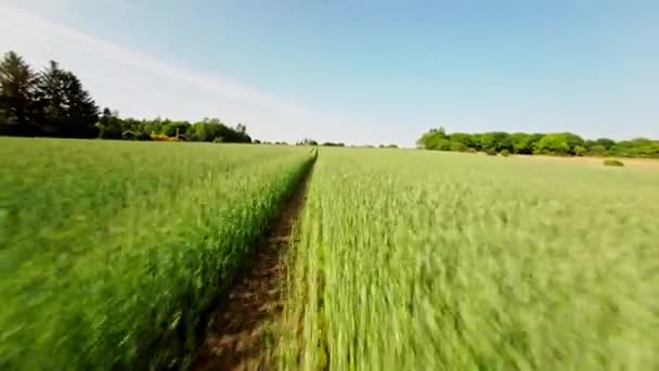 Ένα Ιπτάμενο Drone Ακολουθεί Ένα Χωματόδρομο Μέσα Από Ένα Αγρόκτημα — Αρχείο Βίντεο