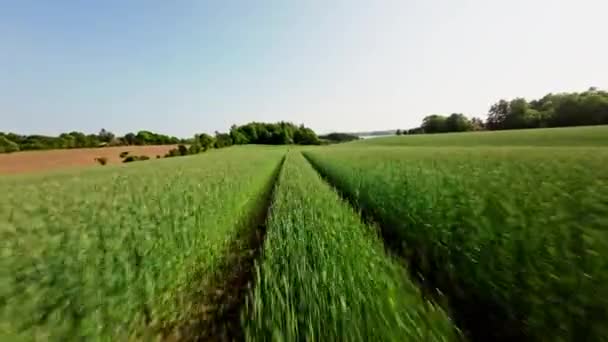Θέα Από Ένα Ταχύτατο Drone Καθώς Γλιστρά Πάνω Από Χωματόδρομο — Αρχείο Βίντεο