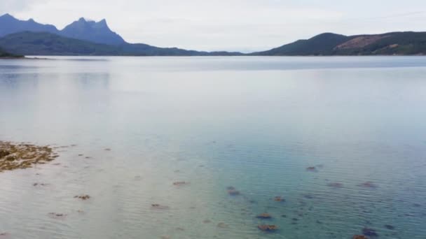 Plan Incliné Lac Entouré Collines Montagnes Avec Des Amas Algues — Video