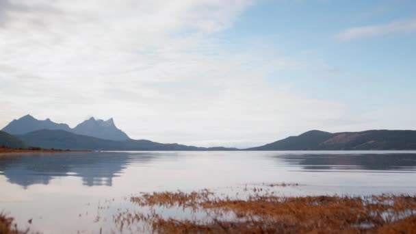 上空と遠い山々を映した落ち着いた湖水の魅惑的な地上レベルのショット — ストック動画