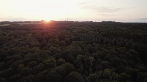 Drone Vola Sopra Una Foresta Lussureggiante Sole Che Tramonta Scomparendo — Video Stock