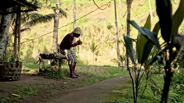 一个头戴草帽的老人坐在竹椅上 在阳光灿烂的森林里吹奏长笛的侧景照片 — 图库视频影像