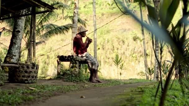Hasır Şapkalı Yaşlı Bir Adamın Bambu Bir Bankta Otururken Flüt — Stok video