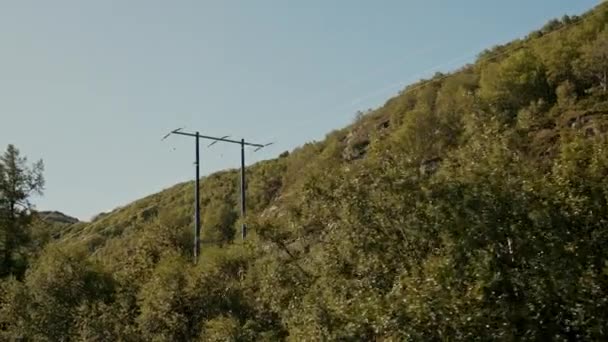 从一辆开过路边树木的汽车上看去 电话杆矗立在一座崎岖而茂密的山脚下 头顶蓝天之下 — 图库视频影像