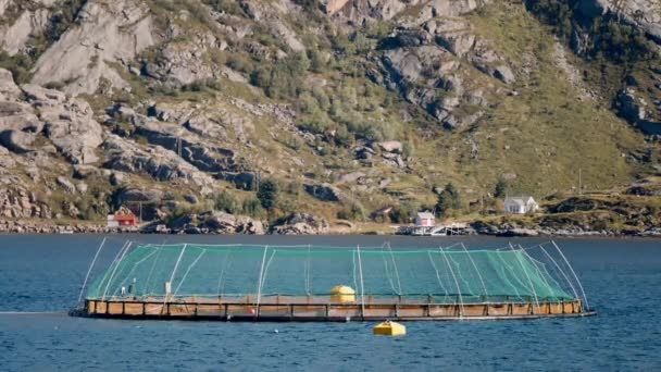 Norveç Görkemli Zirveleri Tarafından Güzel Çerçevelenmiş Balık Çiftliklerinin Yer Aldığı — Stok video