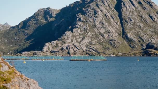 Yüksek Dağ Zirvelerinin Altına Yerleşmiş Balık Çiftlikleri Sergilenen Statik Bir — Stok video