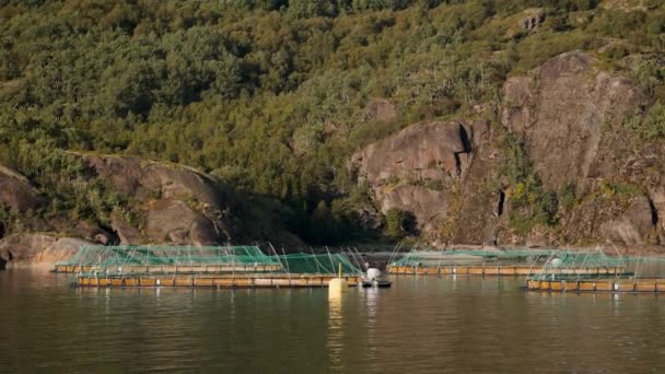 Bir Pov Yemyeşil Dağların Altında Bulunan Balık Havuzlarını Yakalıyor Güzel — Stok video