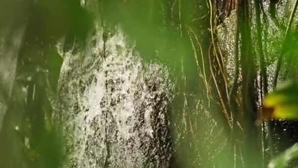 Statický Výstřel Zachycující Rozmazané Listí Popředí Rámující Krásu Kaskádového Vodopádu — Stock video