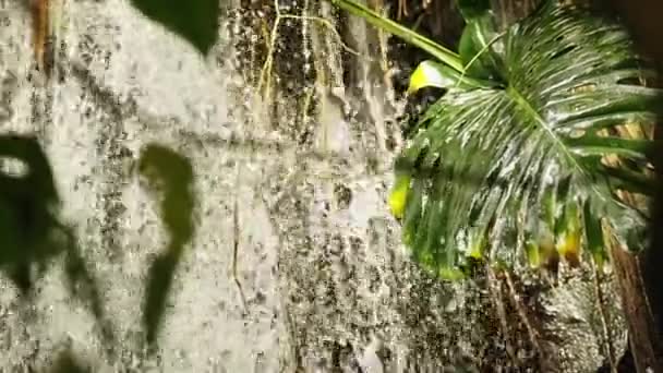Статичний Постріл Захоплює Каскадні Краплі Водоспаду Делікатно Розбризкувані Яскравих Листках — стокове відео