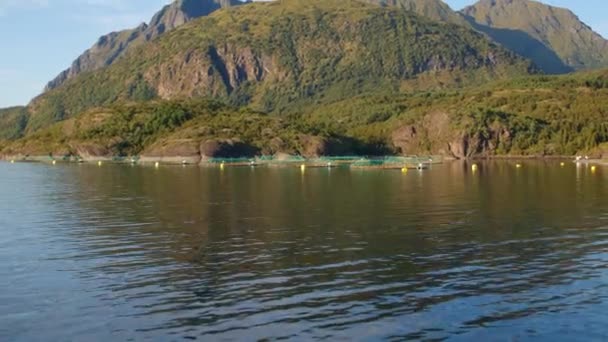 Feribot Içinde Panoramik Dağ Manzaralı Sakin Balık Çiftlikleriyle Çekilen Birinci — Stok video