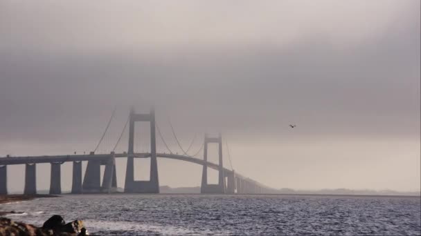 在丹麦拍摄的静态镜头捕捉到了被云雾环绕的大贝尔特桥的美丽 — 图库视频影像
