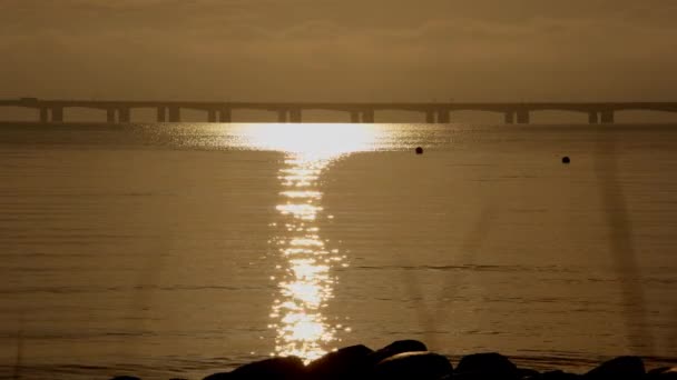 静的なショットは デンマークのグレートベルト橋の象徴的なシルエットに対するぼやけた草の刃をキャプチャします — ストック動画