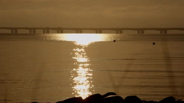 デンマークの壮大なベルト橋の下の輝く水の光景を撮影する静的なショット — ストック動画