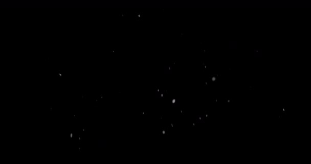 Neve Invernale Che Cade Contro Buio Cielo Notturno — Video Stock