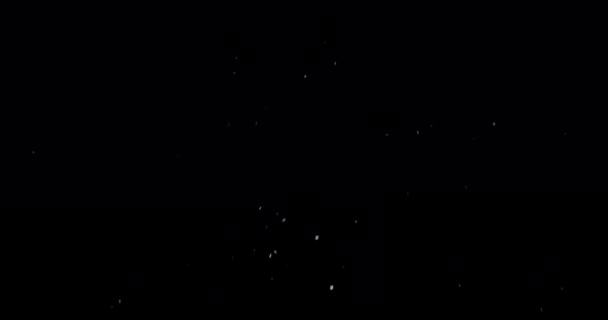 平和な冬の夜の背景に設定された降雪雪 — ストック動画