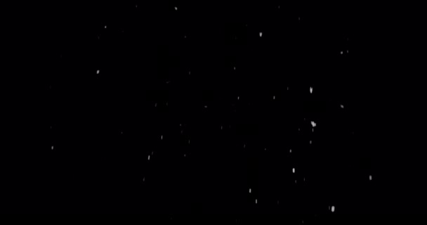 Dolce Discesa Dei Fiocchi Neve Una Tranquilla Notte Inverno — Video Stock