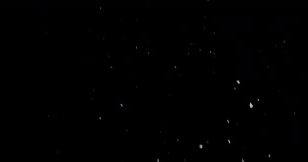 デリケートな雪片は穏やかに暗い背景に降下する — ストック動画