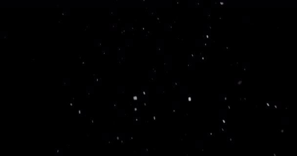 夜の平和な抱擁の間に雪が降る — ストック動画