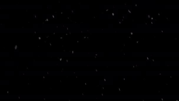 夜空の暗い背景に優しく雪が降る — ストック動画