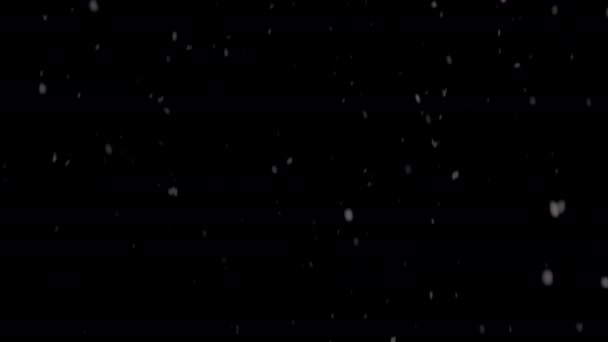 夜空の背景に優雅に降り立つ繊細な雪片の美しさ — ストック動画