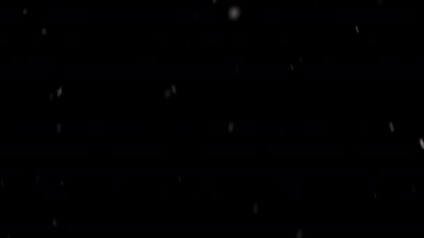 Тонкие Снежинки Изящно Спускаются Тёмном Спокойном Фоне — стоковое видео