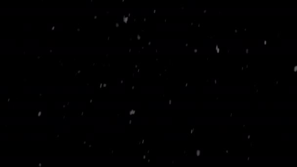 静かな冬の夜に雪が降る — ストック動画