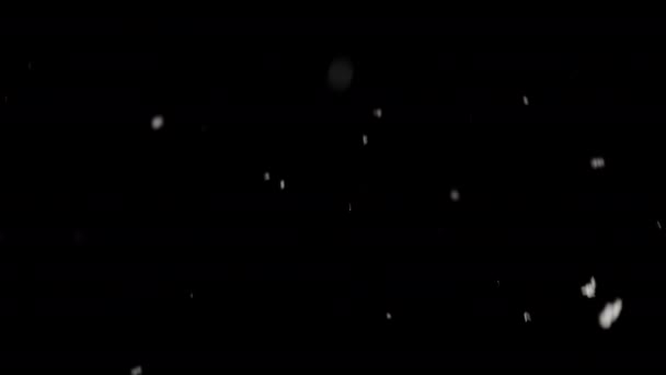 Delicada Nieve Desciende Elegantemente Sobre Oscuro Telón Fondo — Vídeos de Stock