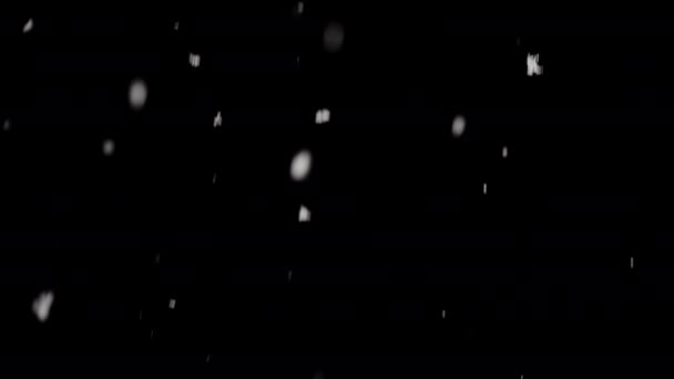 穏やかな夜のシーンの背景に優雅な雪片が降り注ぐ — ストック動画