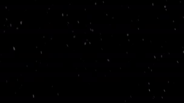 夜空の下で雪の優しい踊り — ストック動画