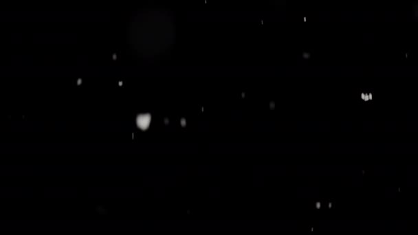 Αποεστιασμένο Χιόνι Που Πέφτει Χάρη Πάνω Μαύρο Φόντο — Αρχείο Βίντεο
