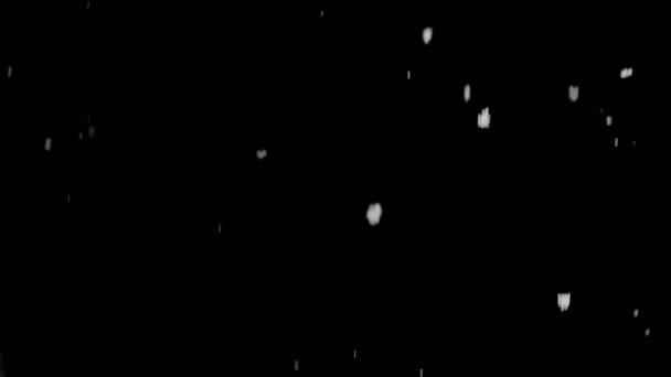 Půvabný Sestup Sněhových Vloček Pod Temnou Noční Oblohou — Stock video