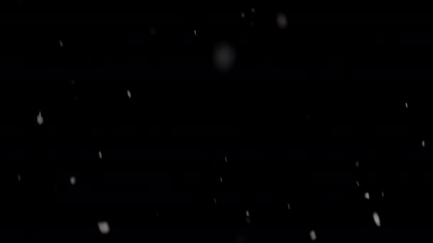 夜空の背景に優雅に落ちる繊細な雪片の魅惑的な美しさ — ストック動画