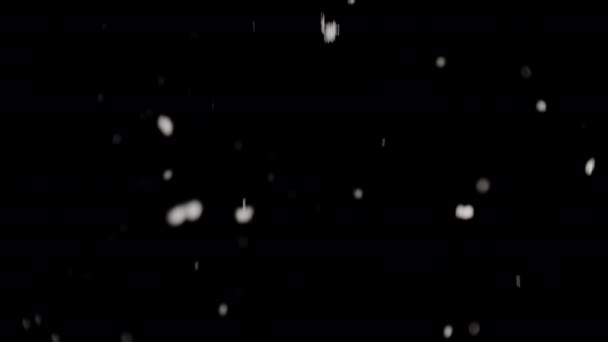 Rozproszone Płatki Śniegu Łaskawie Schodzą Tle Ciemności — Wideo stockowe