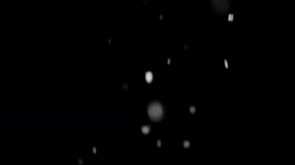 Delicada Belleza Los Copos Nieve Suavemente Enfocados Que Caen Sobre — Vídeos de Stock