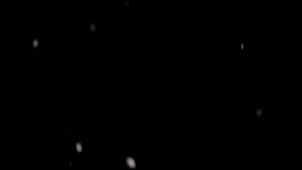 夜空の静かなキャンバスに穏やかに降りる雪の美しさ — ストック動画