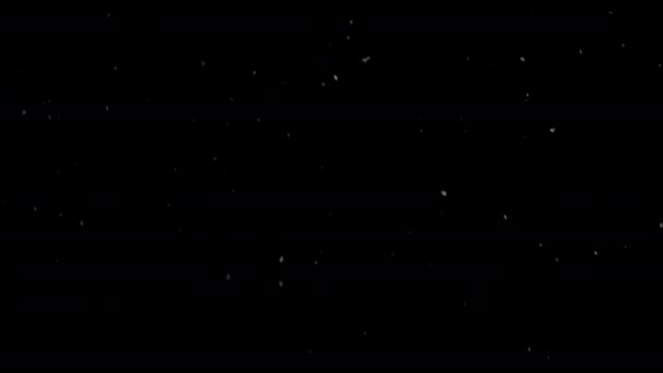 Betoverende Schoonheid Van Vallende Sneeuwvlokken Tegen Een Betoverende Zwarte Achtergrond — Stockvideo