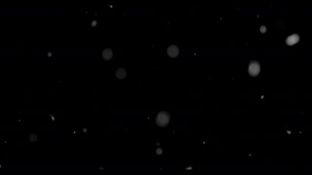 魅惑的な黒い背景に対する雪の穏やかな美しさ — ストック動画