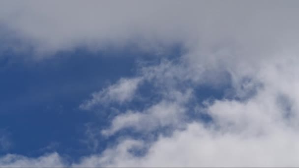 Pofuduk Bulutların Büyüleyici Gündüz Zamanı Engin Mavi Gökyüzünde Zarif Bir — Stok video