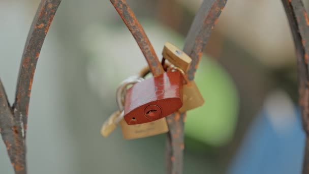 Close Shot Capturing Intricate Textures Love Padlocks Securely Fastened Rusty — Stock Video