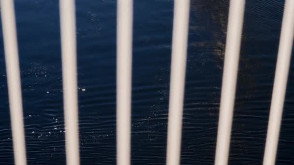 渡轮白色垂直栏杆的特写镜头 使平静的水面相形见绌 — 图库视频影像