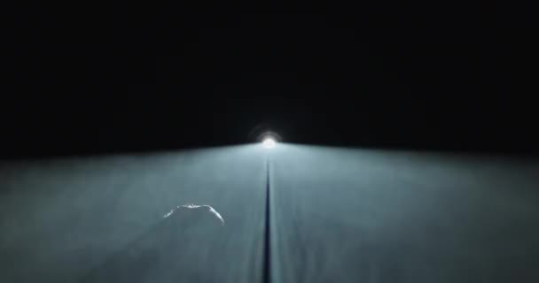 Derin Uçurumun Karanlığında Parlak Bir Işığın Arkaplanına Nazikçe Uzanan Bir — Stok video