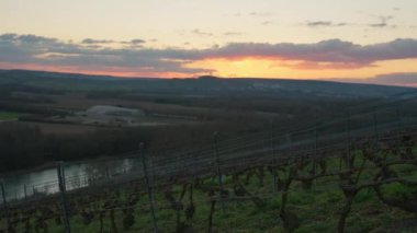Soldan sağa hareket eden bir el kamerası günbatımında eğimli üzüm bağlarının huzur veren güzelliğini yakalıyor.