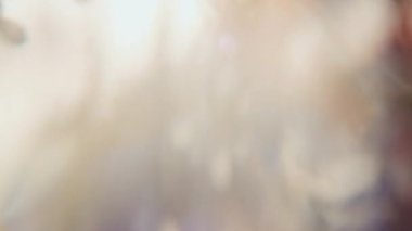 Yakından çekilen bir fotoğraf badem çiçeklerinin narin salınımını yakalıyor, büyüleyici bir bokeh güneşiyle süslenmiş.